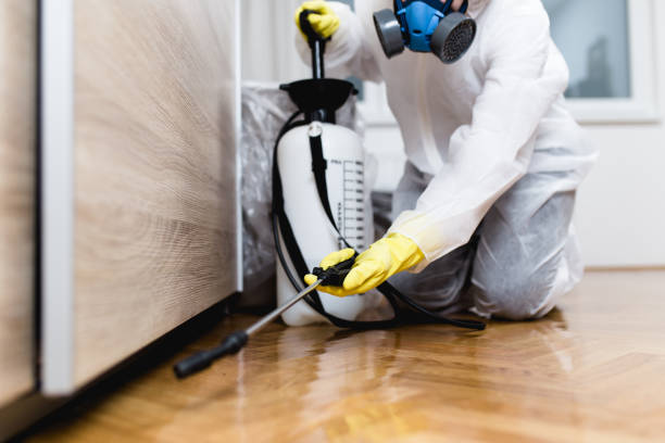 Best Wasp Removal Services  in San Fernando, CA