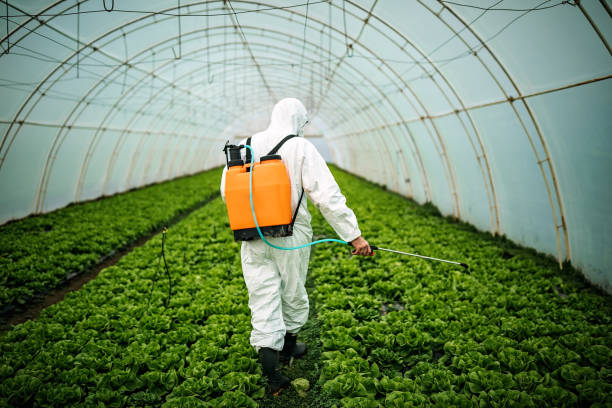 Trusted San Fernando, CA Pest Control Experts