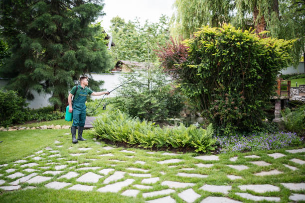  San Fernando, CA Pest Control Pros