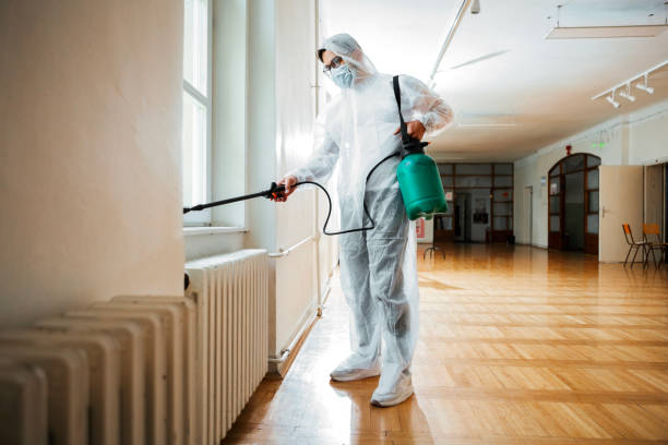 Best Best Pest Control Companies  in San Fernando, CA